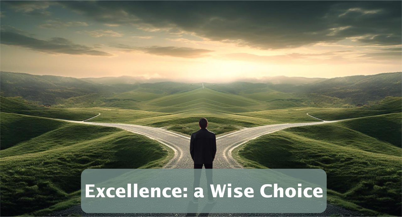Featured image for “Excellence: a Wise Choice”